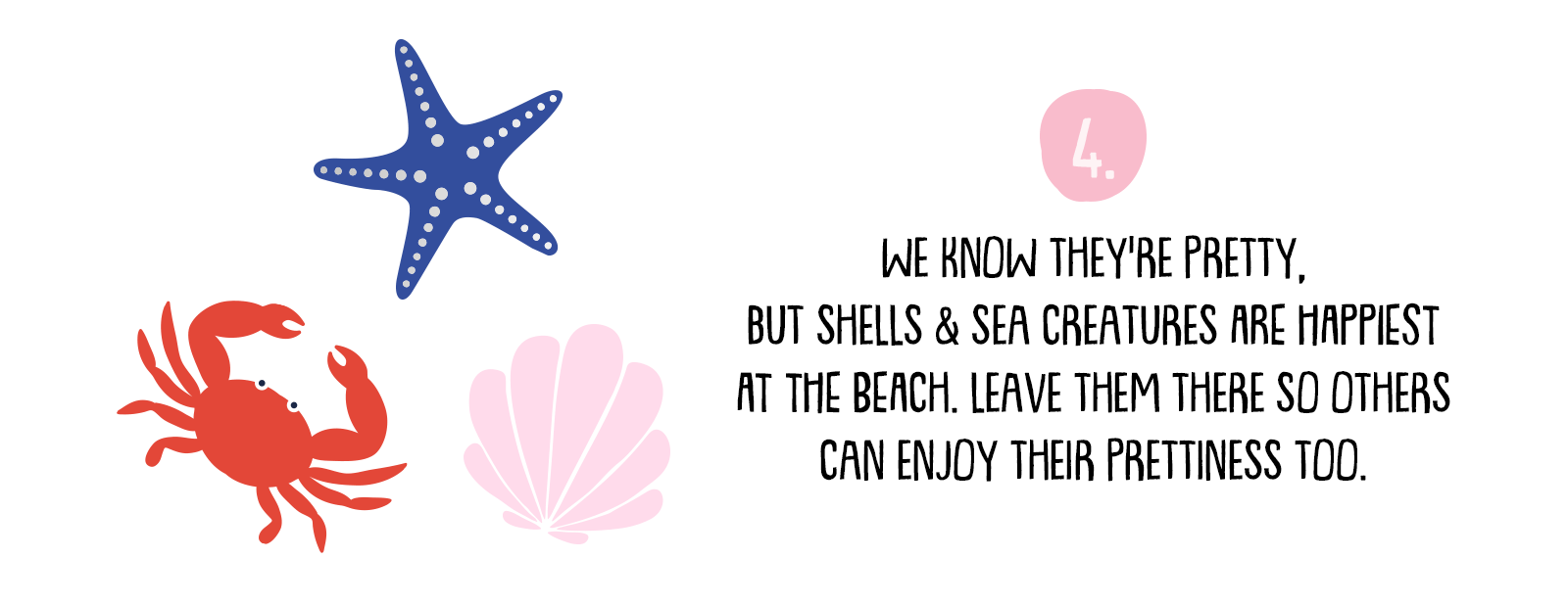 Leave shells at the beach